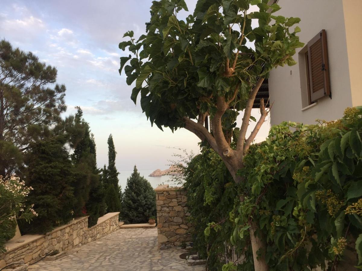 Natica Mare Villas Xerokampos  Dış mekan fotoğraf