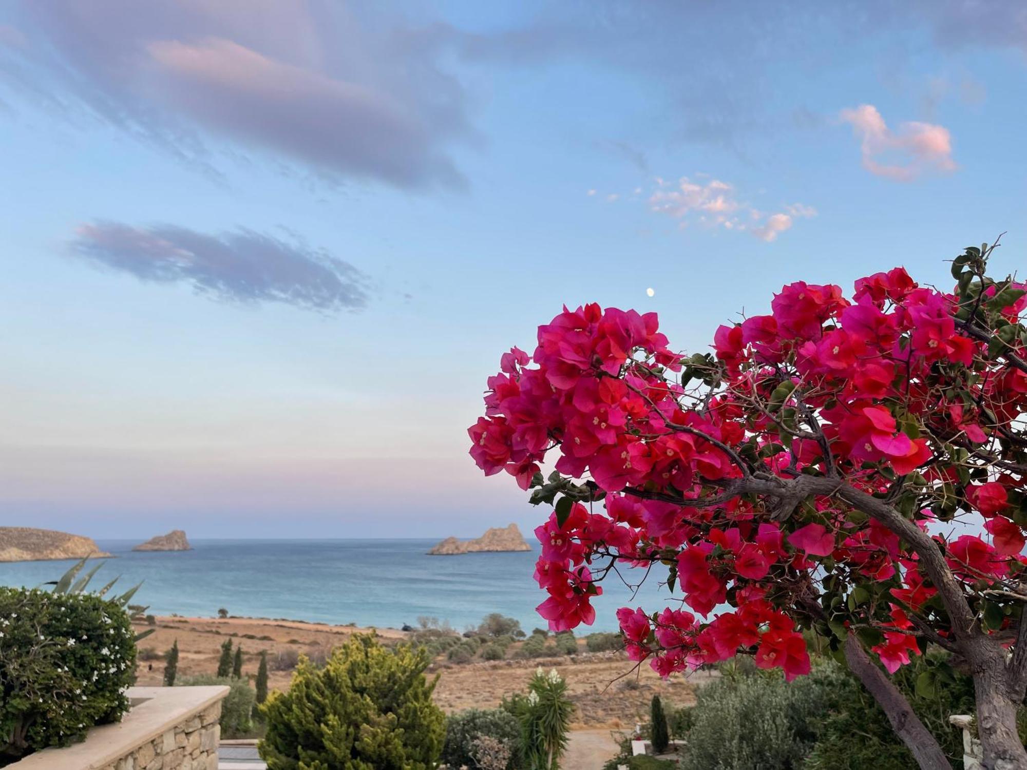 Natica Mare Villas Xerokampos  Dış mekan fotoğraf