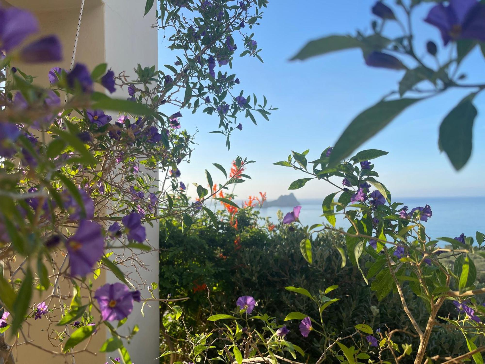 Natica Mare Villas Xerokampos  Dış mekan fotoğraf