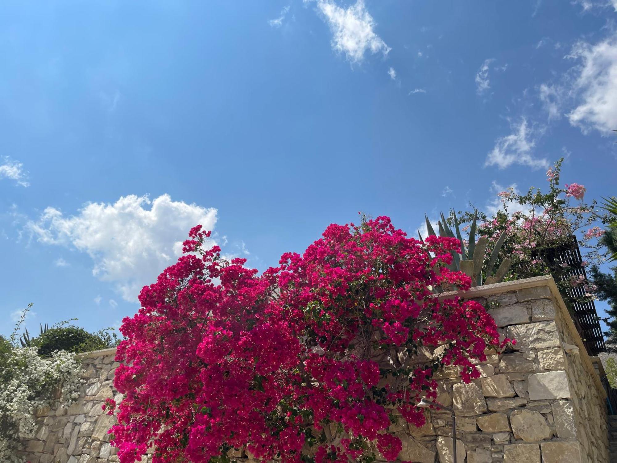 Natica Mare Villas Xerokampos  Dış mekan fotoğraf