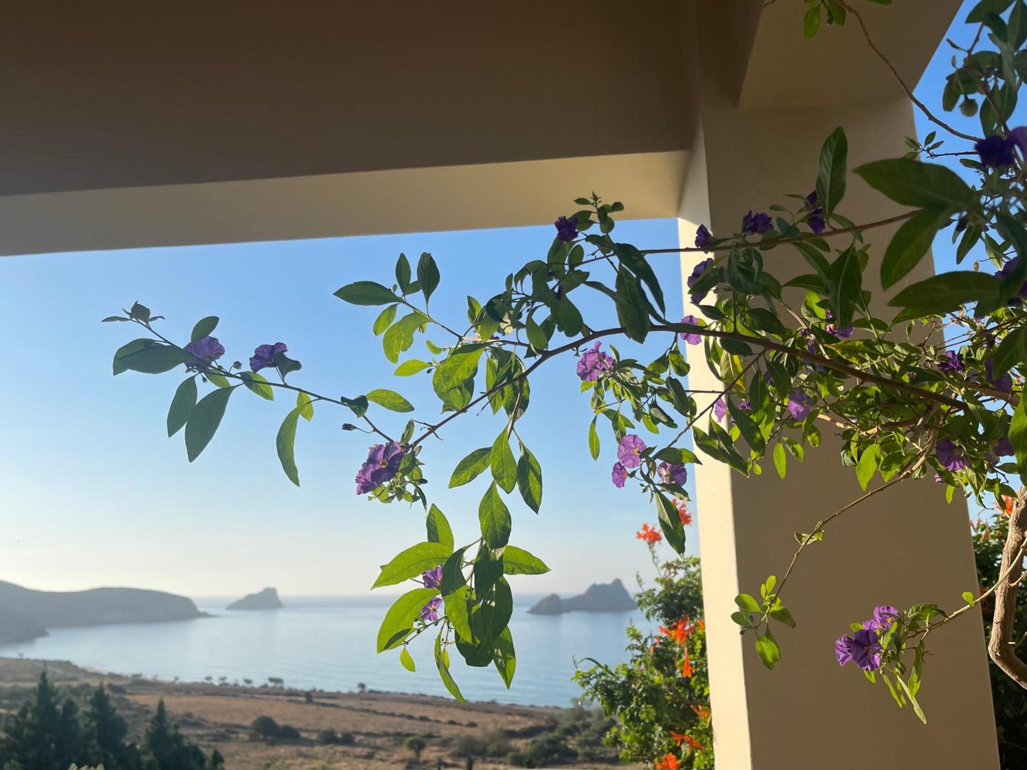 Natica Mare Villas Xerokampos  Dış mekan fotoğraf