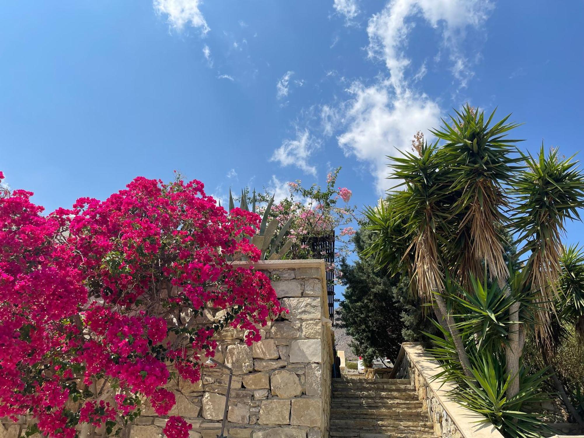 Natica Mare Villas Xerokampos  Dış mekan fotoğraf