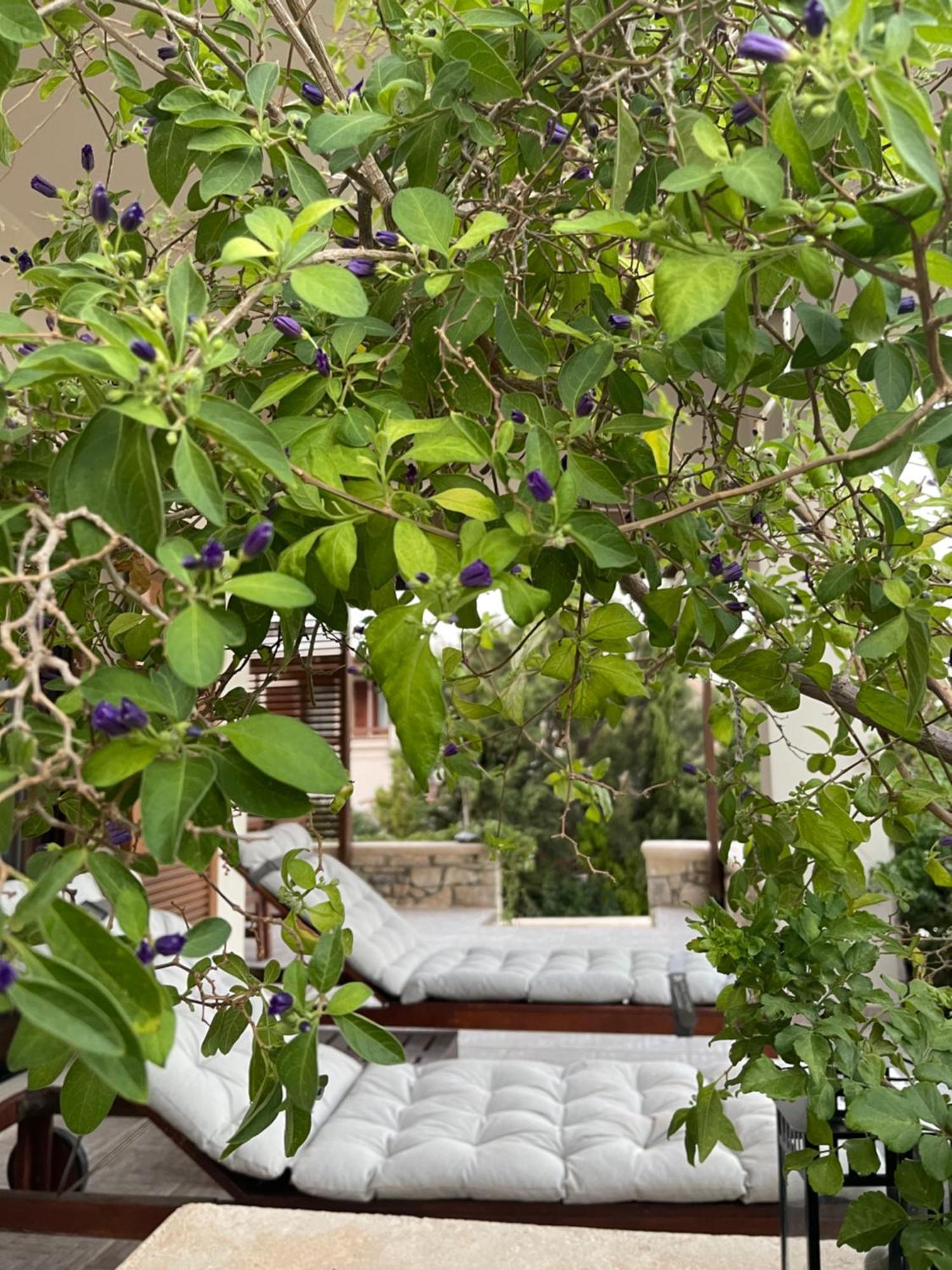 Natica Mare Villas Xerokampos  Dış mekan fotoğraf