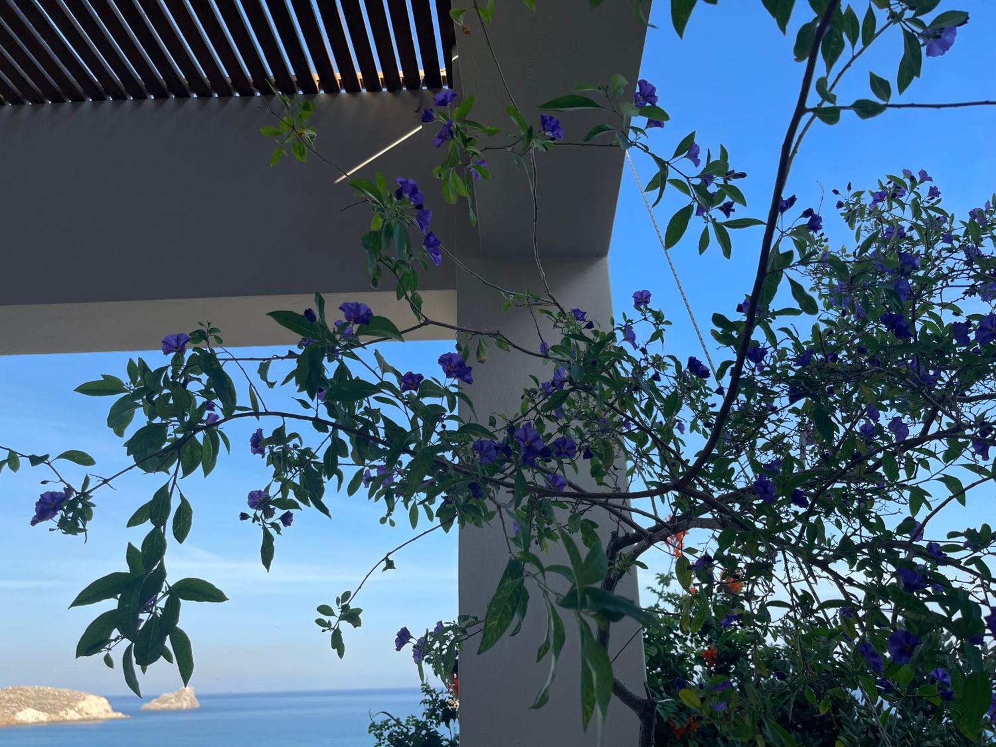 Natica Mare Villas Xerokampos  Dış mekan fotoğraf