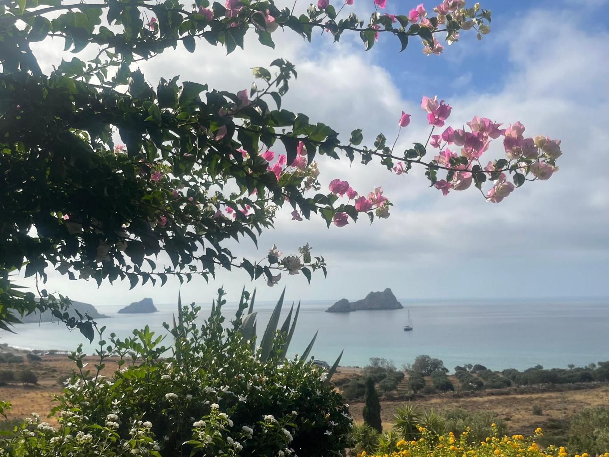 Natica Mare Villas Xerokampos  Dış mekan fotoğraf