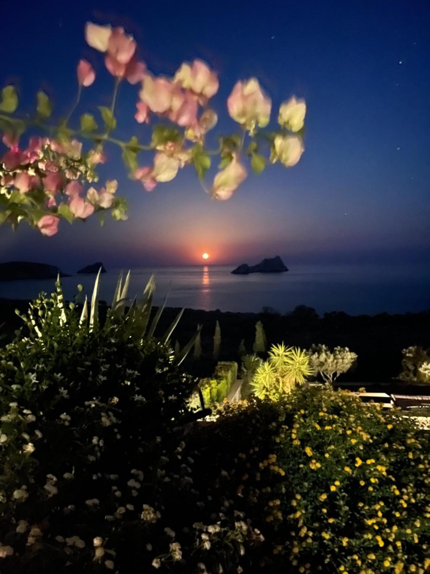 Natica Mare Villas Xerokampos  Dış mekan fotoğraf